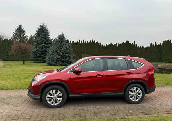 Honda CR-V cena 49900 przebieg: 302000, rok produkcji 2013 z Brzeg Dolny małe 106